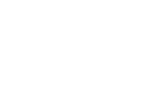 The Guardian's Gift